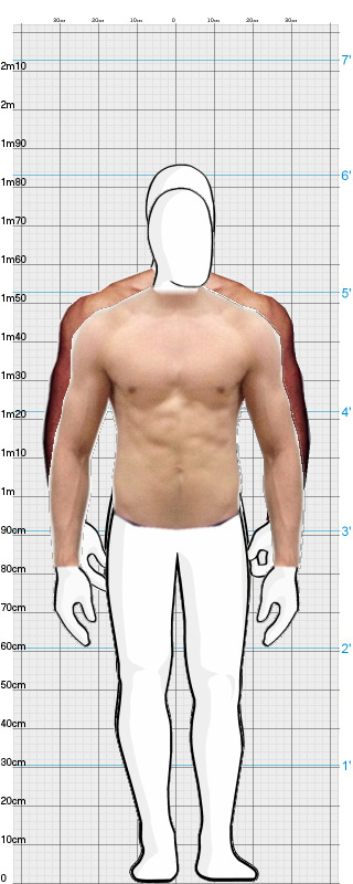 Full Size Comparison