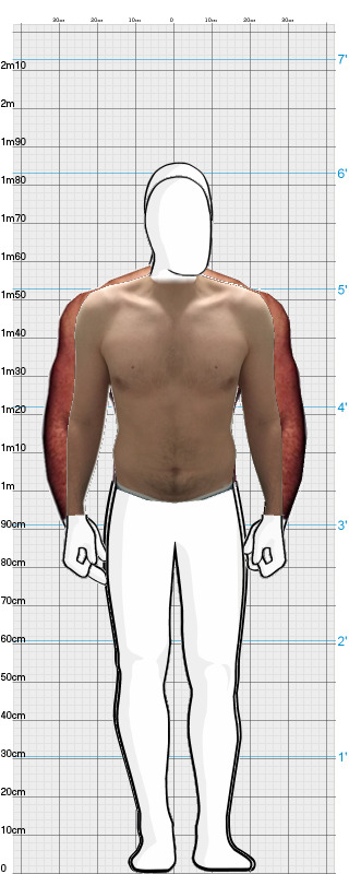 Full Size Comparison