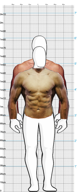 Full Size Comparison