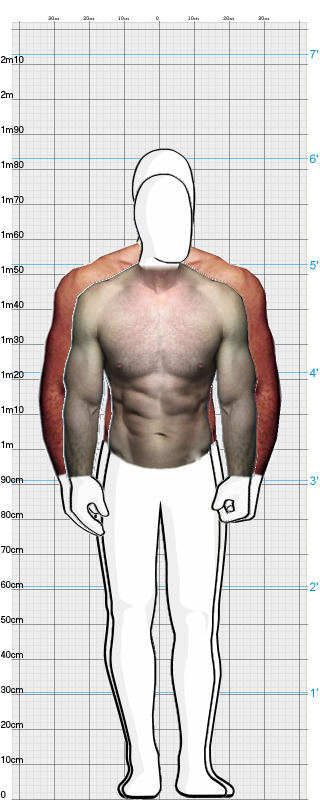 Full Size Comparison