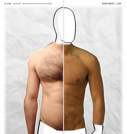 Torso Comparison