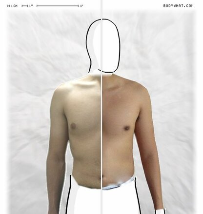 Torso Comparison