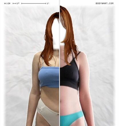 Torso Comparison