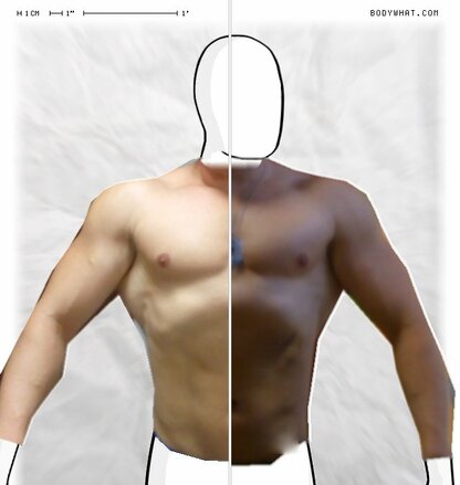 Torso Comparison