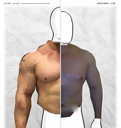 Torso Comparison