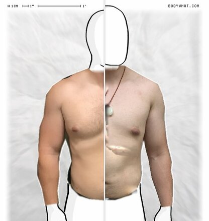 Torso Comparison