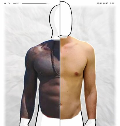 Torso Comparison