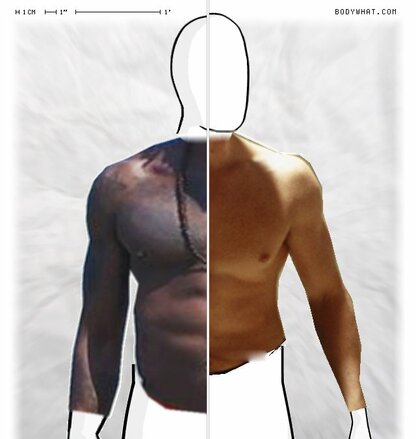 Torso Comparison