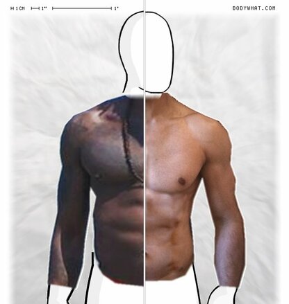 Torso Comparison