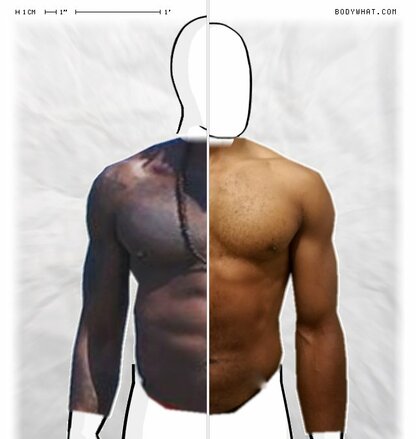 Torso Comparison