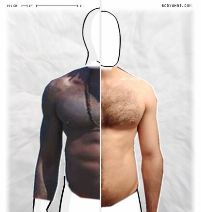 Torso Comparison