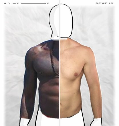 Torso Comparison