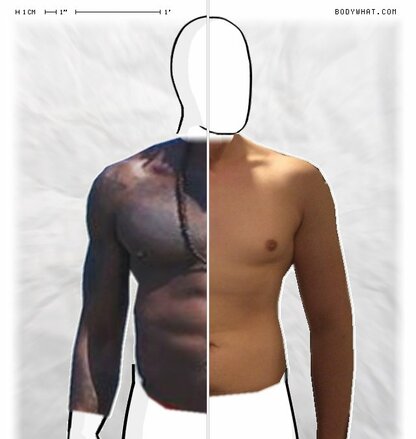 Torso Comparison