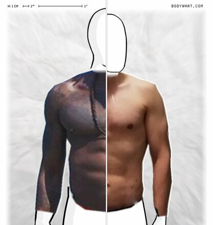 Torso Comparison