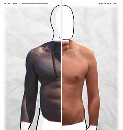 Torso Comparison