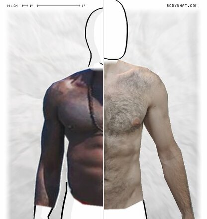 Torso Comparison