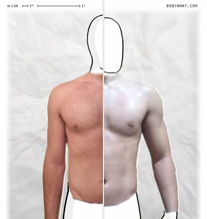 Torso Comparison