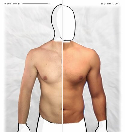 Torso Comparison