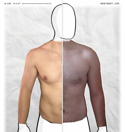 Torso Comparison