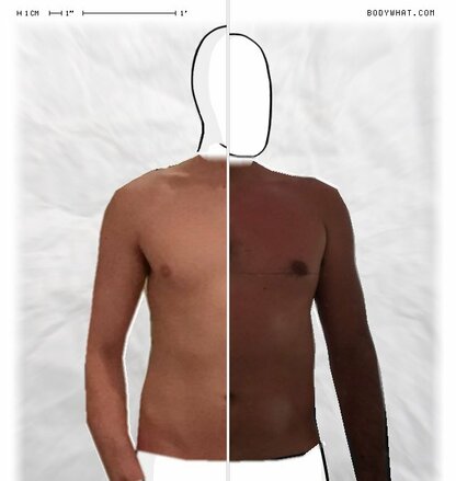 Torso Comparison