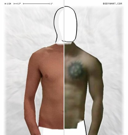 Torso Comparison