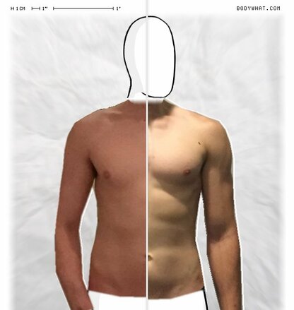 Torso Comparison