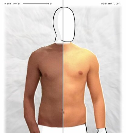 Torso Comparison