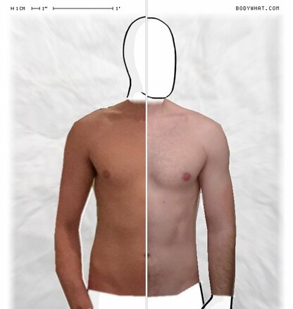 Torso Comparison