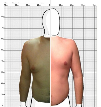 Torso Comparison