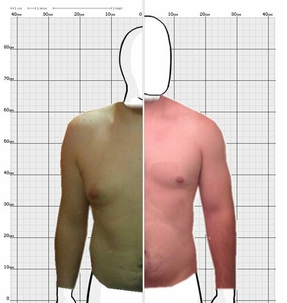 Torso Comparison