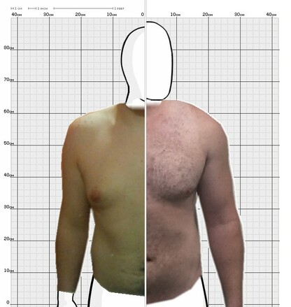 Torso Comparison