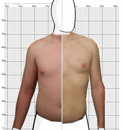 Torso Comparison