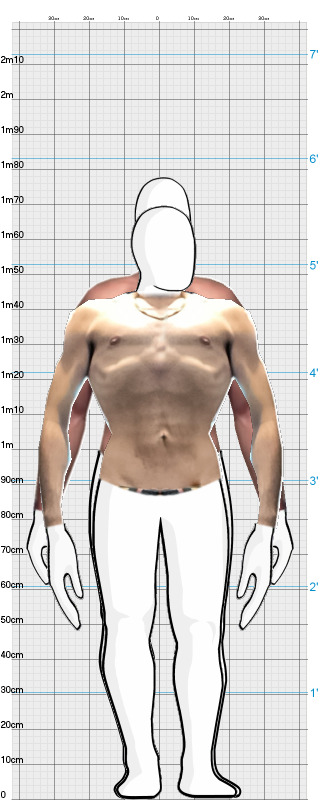 Full Size Comparison