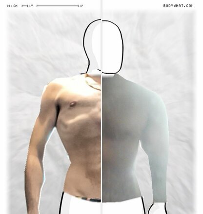 Torso Comparison