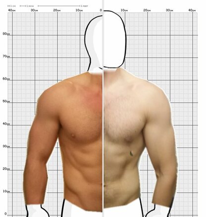 Torso Comparison