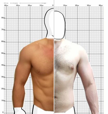 Torso Comparison