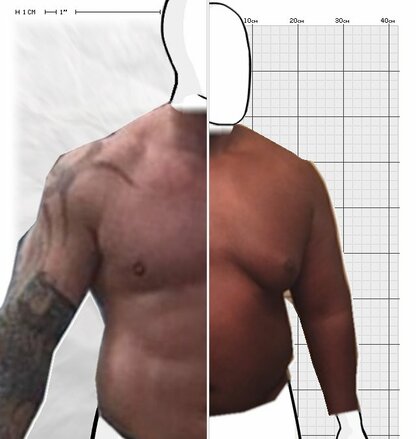 Torso Comparison