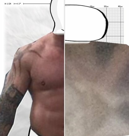 Torso Comparison