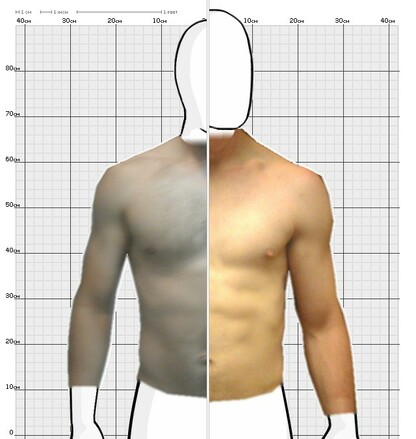 Torso Comparison