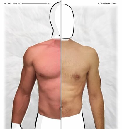 Torso Comparison