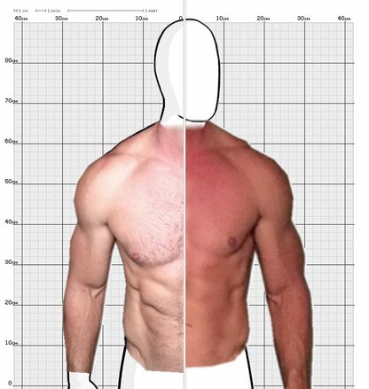 Torso Comparison