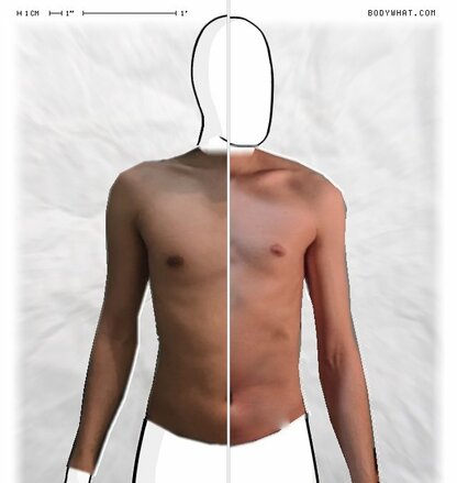 Torso Comparison