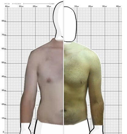 Torso Comparison