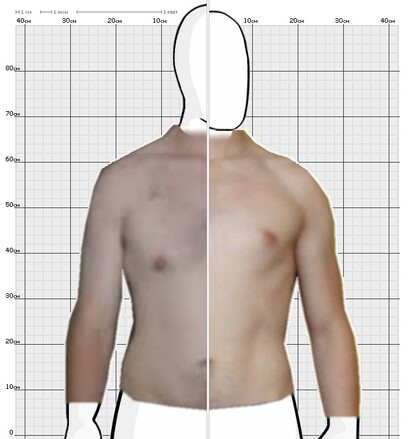 Torso Comparison