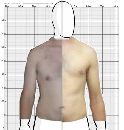 Torso Comparison