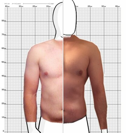 Torso Comparison