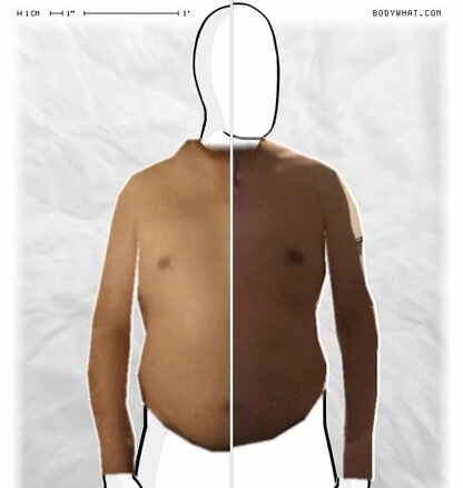 Torso Comparison