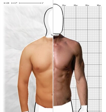 Torso Comparison