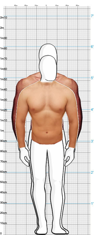 Full Size Comparison