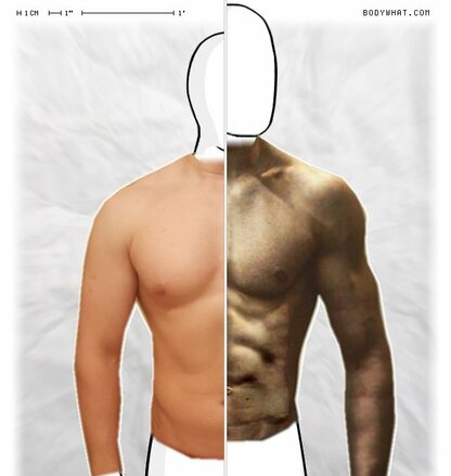 Torso Comparison